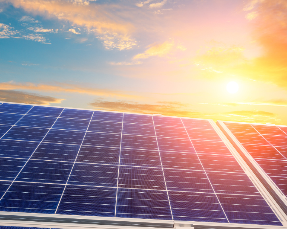 Panneaux photovoltaïques entreprise